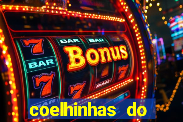 coelhinhas do brasil recife